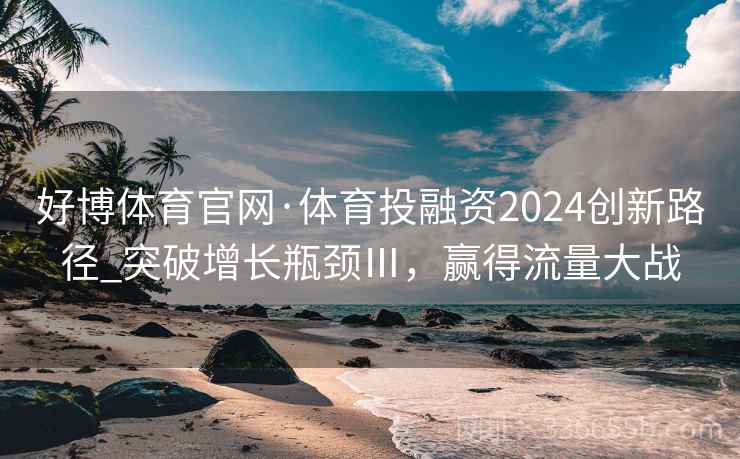 好博体育官网·体育投融资2024创新路径_突破增长瓶颈Ⅲ，赢得流量大战
