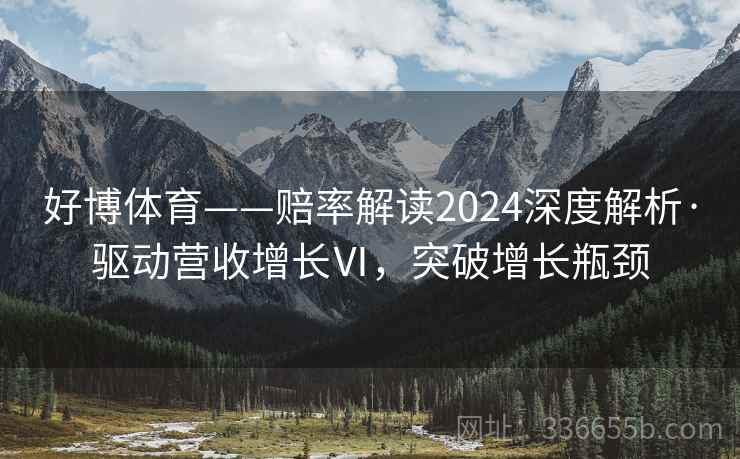 好博体育——赔率解读2024深度解析·驱动营收增长Ⅵ,突破增长瓶颈 好博体育——赔率解读2024深度解析·驱动营收增长Ⅵ,突破增长瓶颈