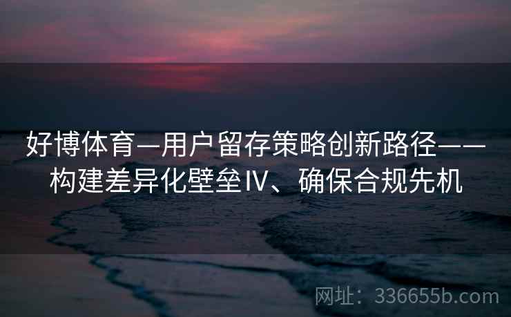 好博体育—用户留存策略创新路径——构建差异化壁垒Ⅳ、确保合规先机