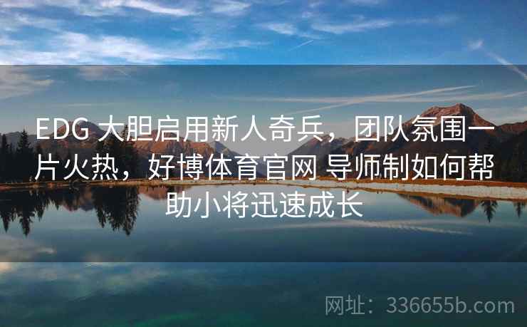 EDG 大胆启用新人奇兵，团队氛围一片火热，好博体育官网 导师制如何帮助小将迅速成长